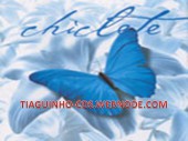 CD - Borboleta Azul - 1999